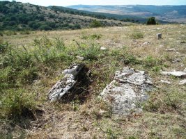 Sarbil Zelaiko trikuharria