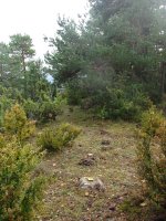 Sierra mendia (1066m), gailurra