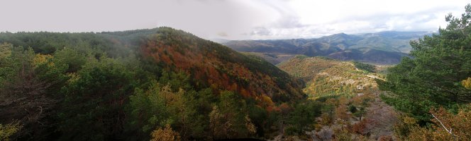 Paitu mendia (1017m) 