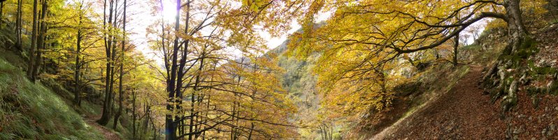 Lizarrusti eta Lareo arteko bideko pasarte bat