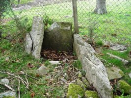 Argibele hego trikuharria