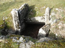 San Sebastian ipar trikuharria