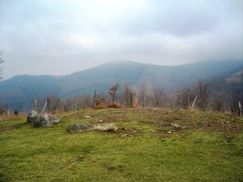 Oianleku hego harrespila