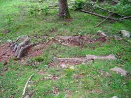 Aritzmendi trikuharria