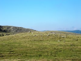 Sarasa Gañe trikuharria