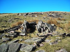 Bardaxilo trikuharria