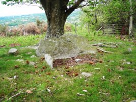 Argibele ipar trikuharria