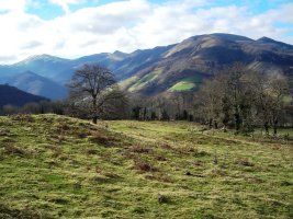 Mendigaña campo tumular