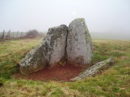 Armiaga  trikuharria