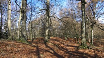 Irumugeta eta Txaradigorri arteko bideko pasarte bat (GR12)