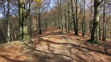 GR12 bidea Irumugeta eta Txaradigorri artean