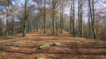 Txaradigorrira gerturatzen Mendebaldeko bizkarretik