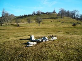 Legaire ipar  trikuharria