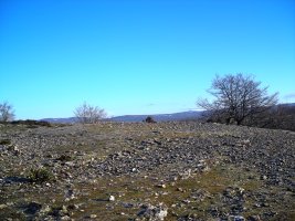 Zurgaina tumulo  de anillo
