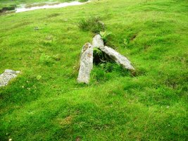 Azpegi IV trikuharria