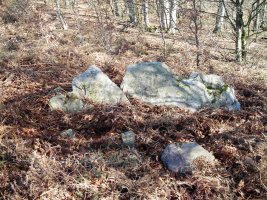 Xafran 1 ipar  trikuharria