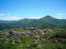 Luurzu  3  hego trikuharria