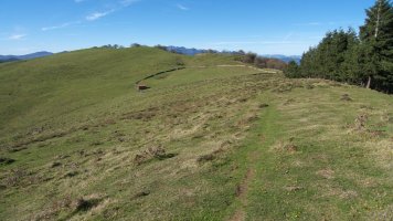 Ekialdeko bizkarretik