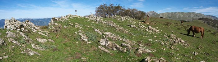 Tontorra eta inguruak