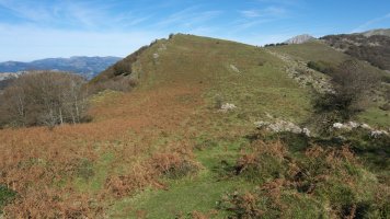 Leizadi aldetik ikusita