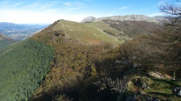 Leizadiko tontorretik ikusita