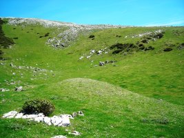 Urrusti I  fondo de cabaña