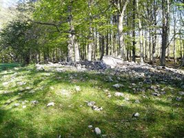 Irutzulo Txikita trikuharria