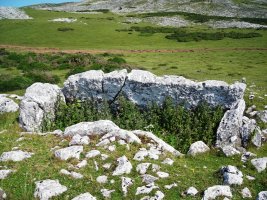 Obioneta 1 hego trikuharria