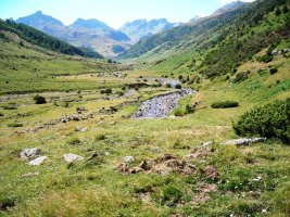 Barranco Mallo Blanco harrespila