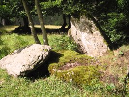 Camping Selva de Oza trikuharria