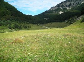 Fuente de los Clérigos tumulua