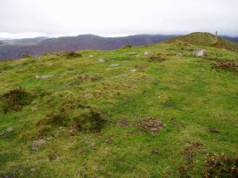 Amonamotzeko kaskoa mairubaratza