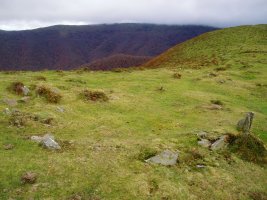 Auntzbizkarreko mairubaratzetako bat