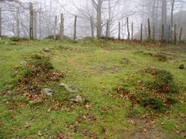 Ibintza mairubaratzetako bat