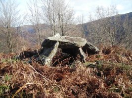 Erroia Gain trikuharria