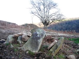 Arrixabale trikuharria