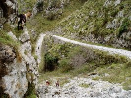 La Bargonako sigi-sagak