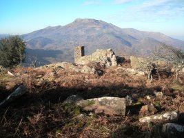 Larria II trikuharria