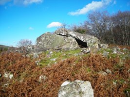 Lamizilo trikuharria