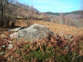 Erroia Gain trikuharria