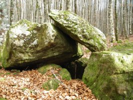 Arzilo 1 ipar trikuharria