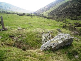 Sorogain trikuharria