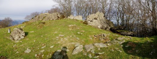 Atxolin trikuharria eta tontorra