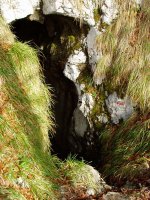 Sarastarri kobazuloa