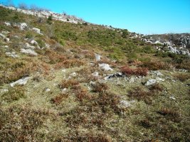 Aitzgain II trikuharria