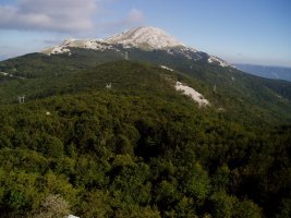 Liñategietatik ikusita