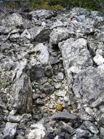 Boluntza 1 bis ipar trikuharria