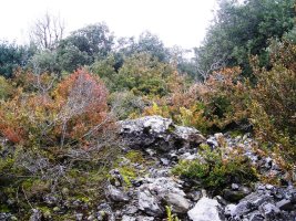 Ugarra 4 hego trikuharria