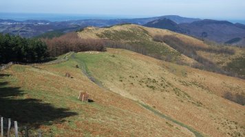 Urrutitik ikusten da