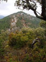 Azkarregia Haitzeko gailurra, atzean Iturtea mendia